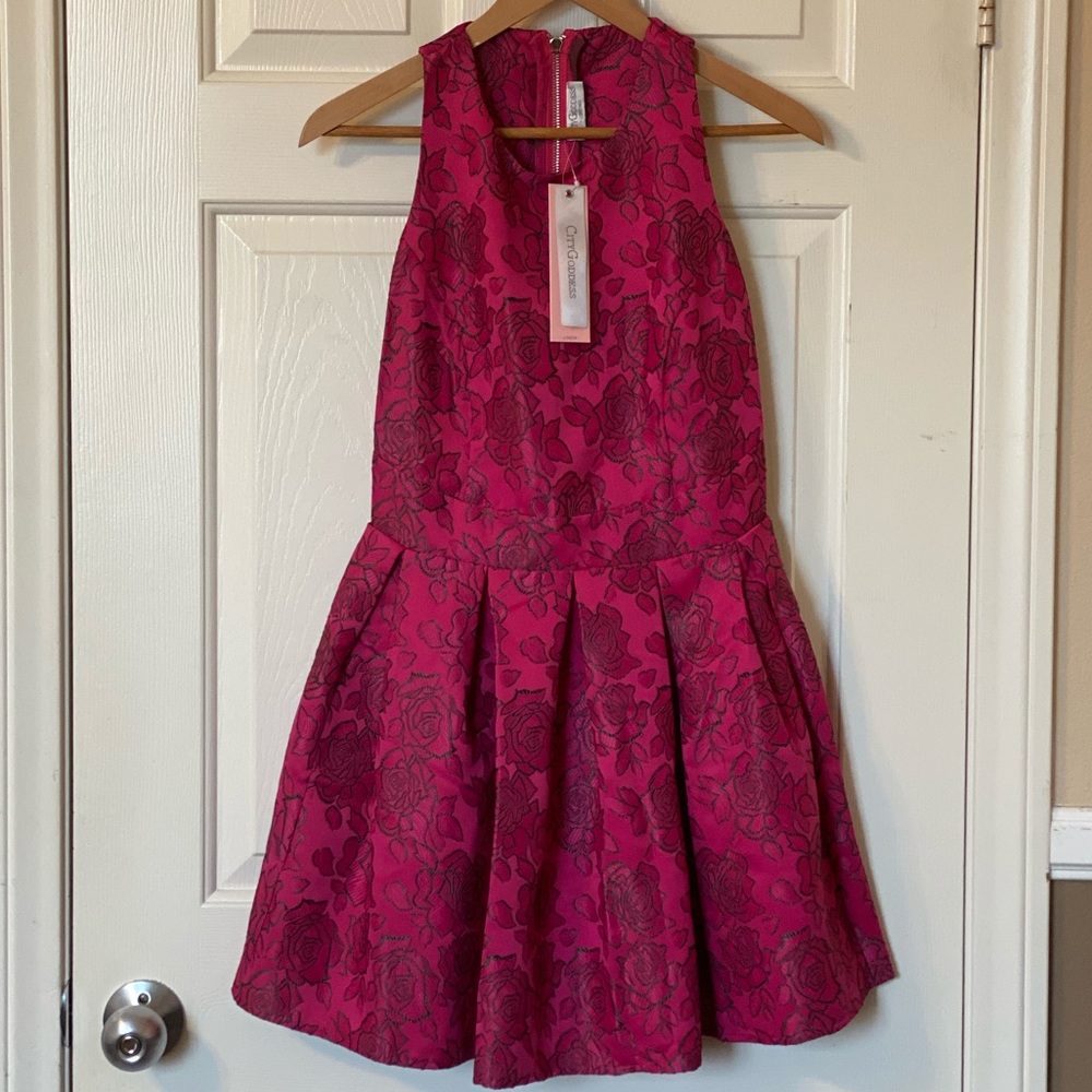 Peplum Hot Pink Dress